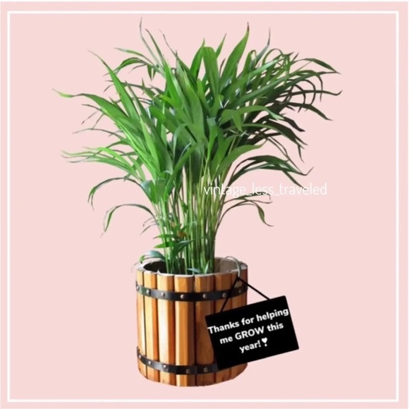 XXI Forever 21 Womens Straight Mini Skirt Sz S Sequins Diamond - Picture 16 of 16